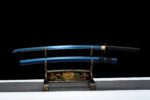 Seihikari（青光）– Lumière Bleue