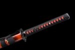Ninjato Ryūkage Ombre du Dragon